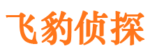 织金市侦探公司